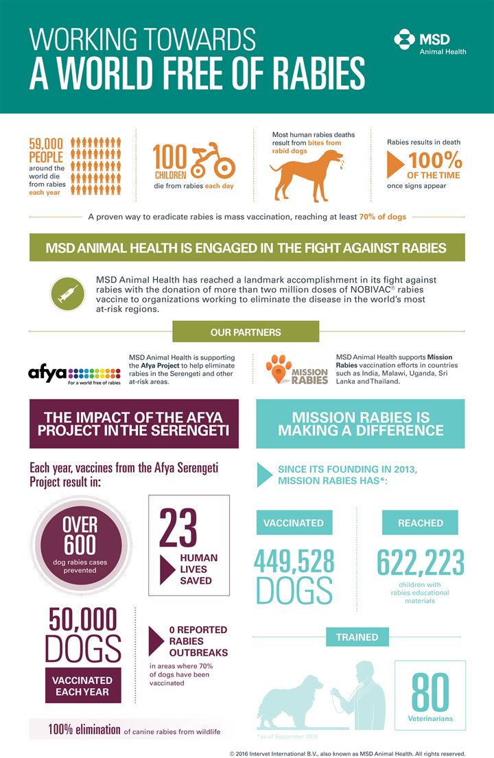 Working Toward A World Free Of Rabies (Infographic) – Chicago Tribune