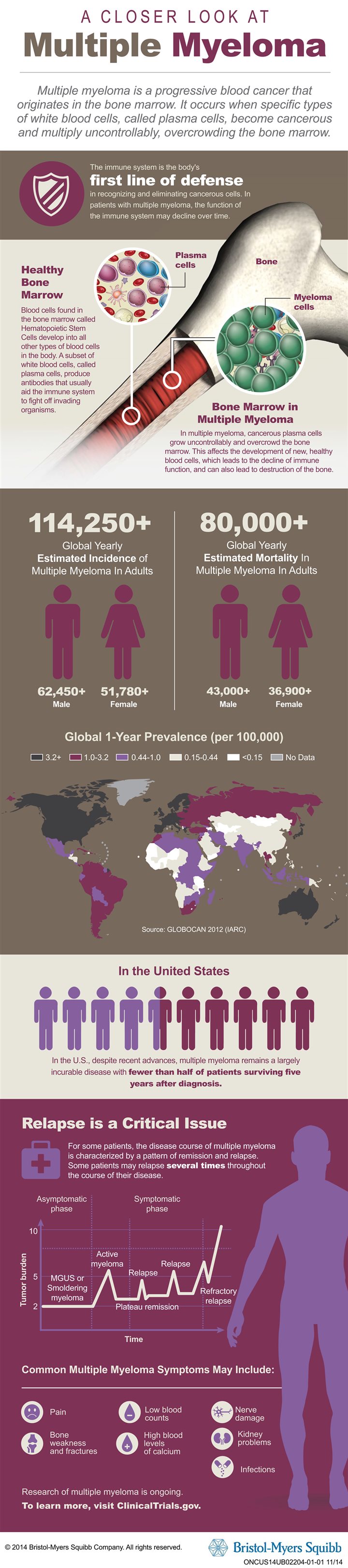 A closer look at multiple myeloma [Infographic]