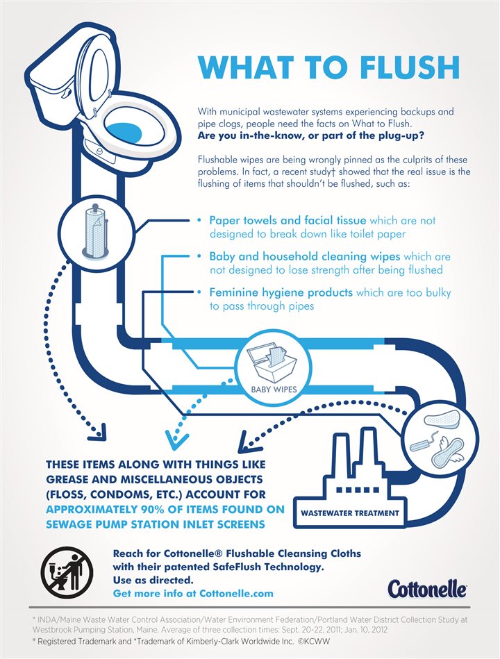 What to flush [Infographic] – Orlando Sentinel