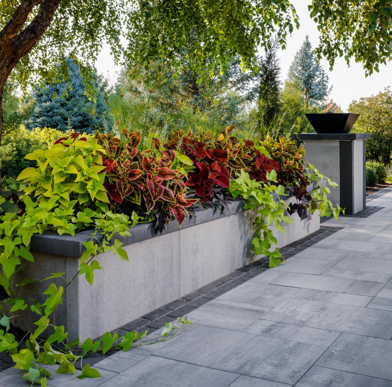 Lush shrubs and other plantings in a Belgard raise garden.