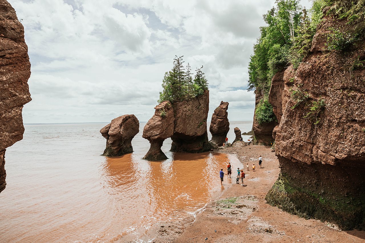 People walking on a muddy beach surrounded by craggy rock formations topped with trees