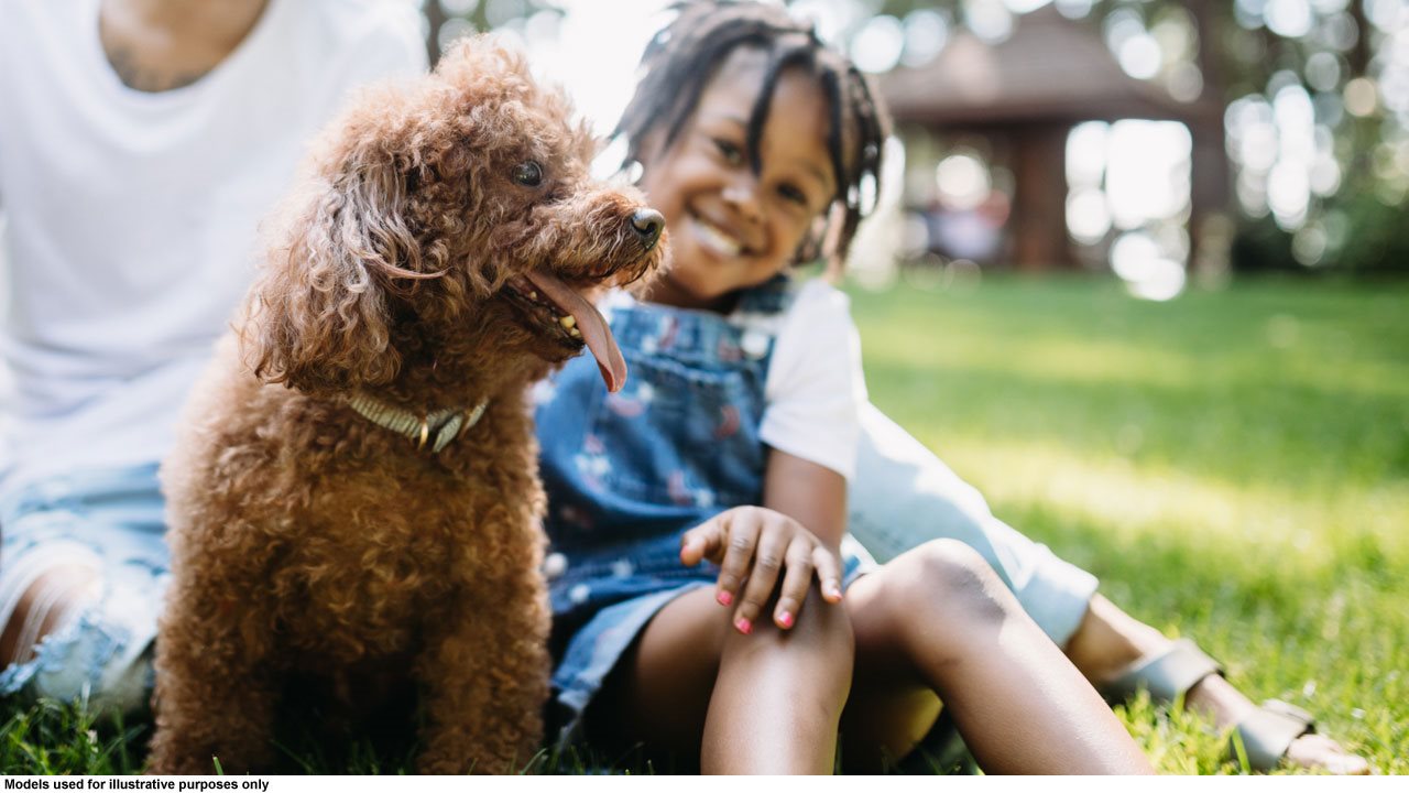 Happy little girl and her dad petting their curly haired dog in a park.