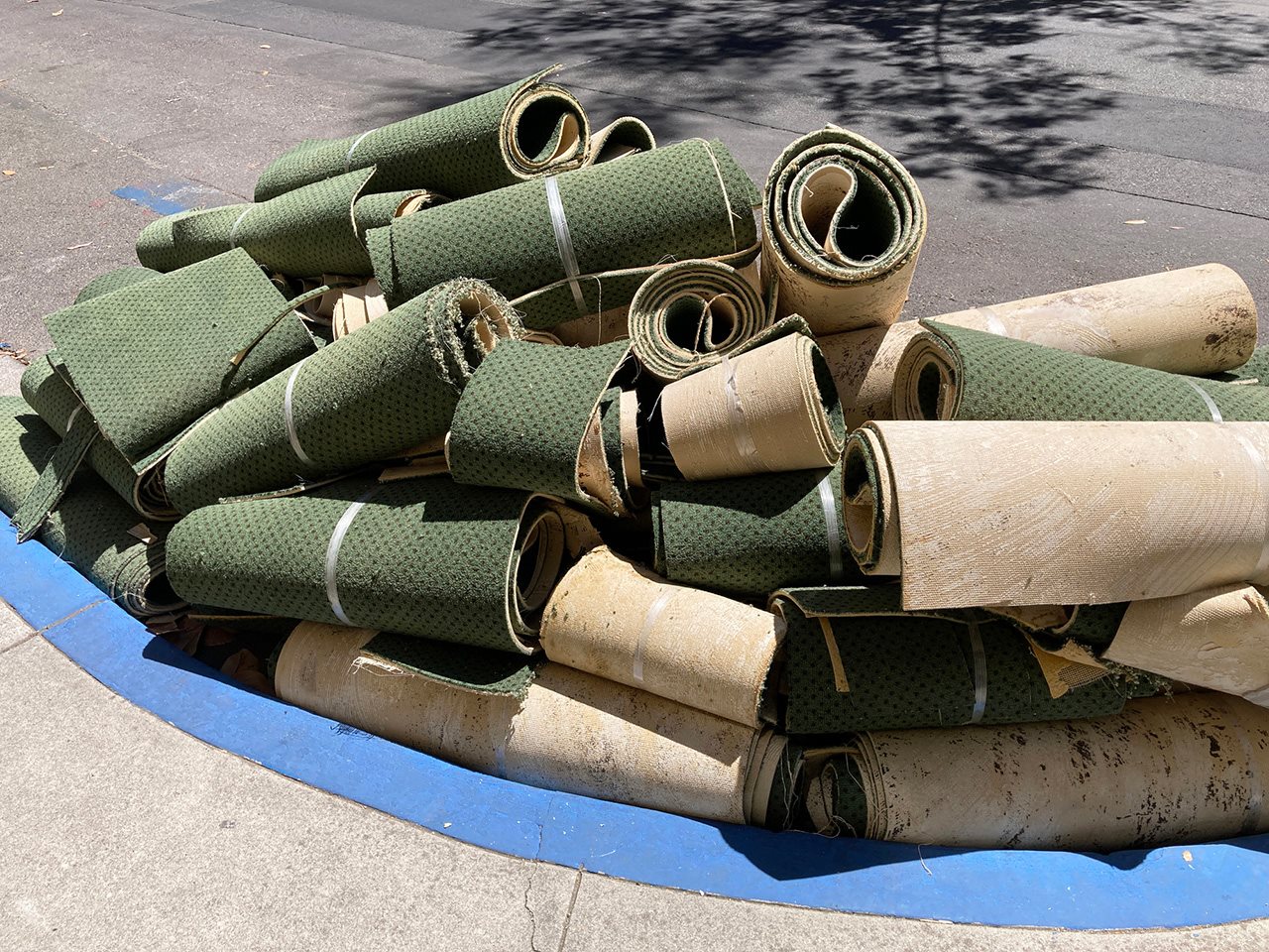 Cut , tied and rolled up sections of old carpet piled up curbside in a resdential neighborhood.