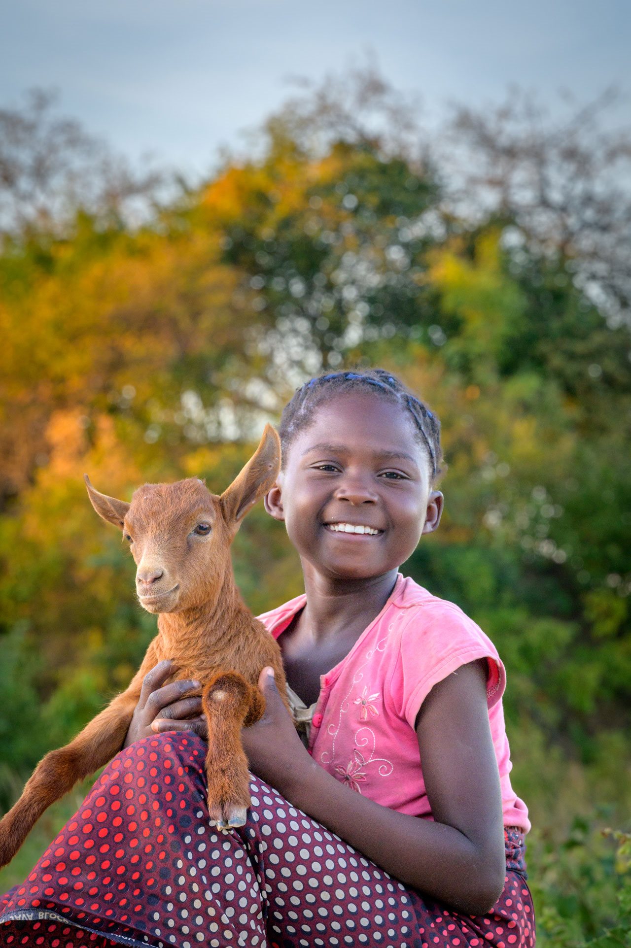 Girl holding a goat